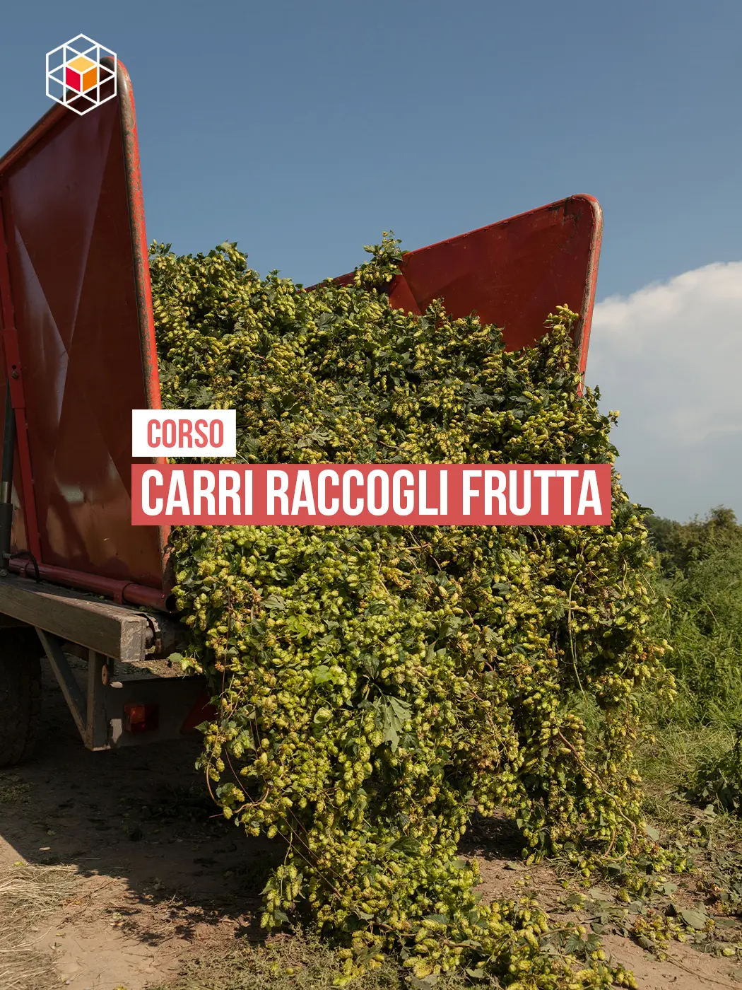 raccoglifrutta_corso