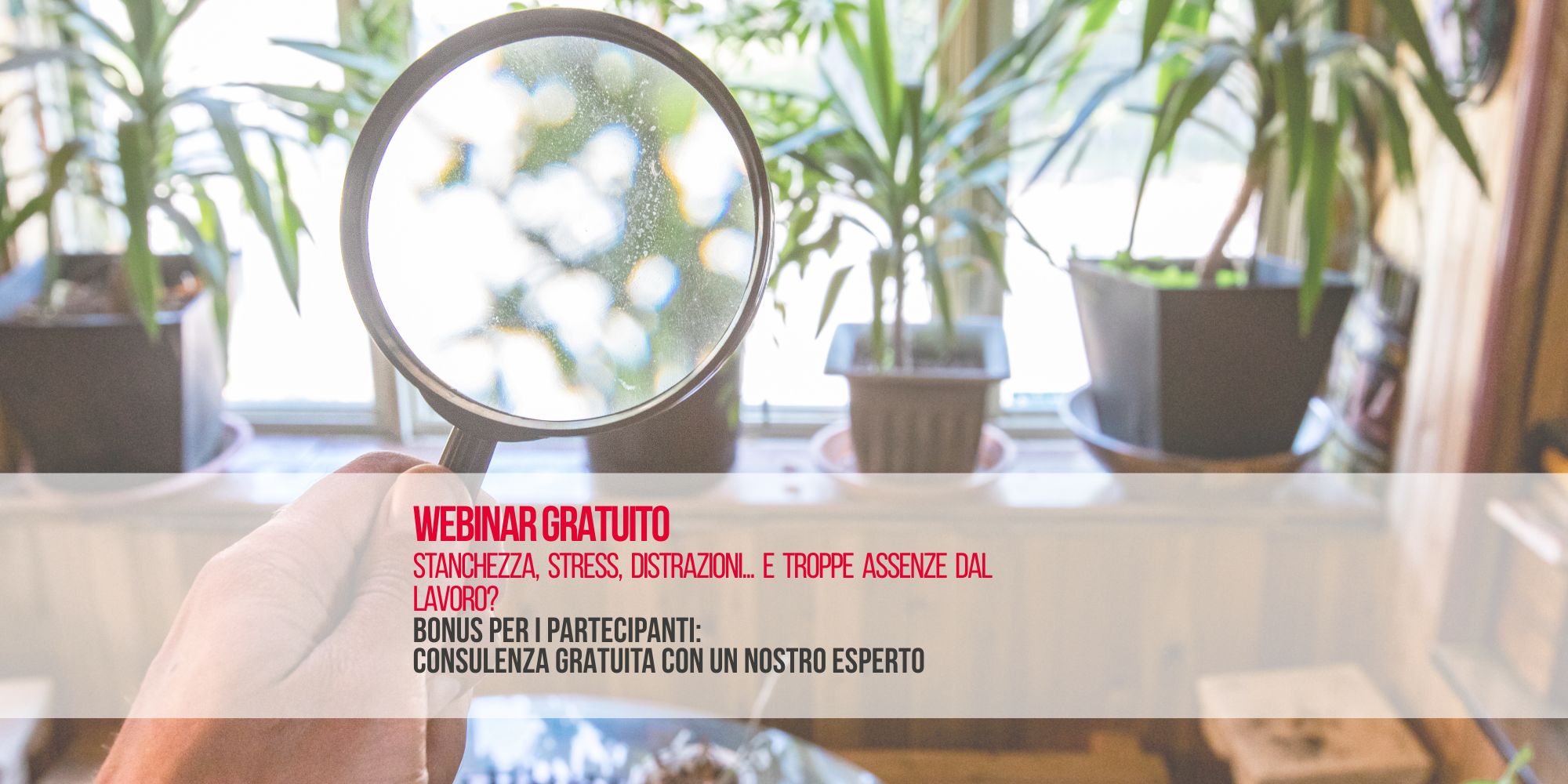 prossimo-webinar-2-dicembre-qualita-dellaria-indoor-adempimenti-e-soluzioni